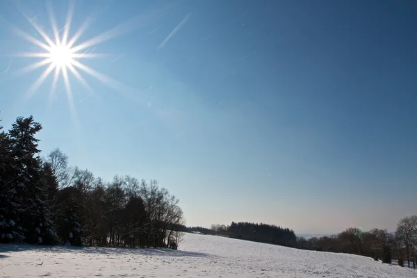 Natureza e Inverno — Fotografia de Stock