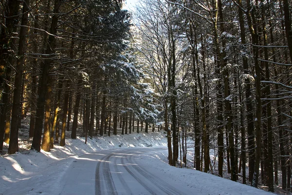 Příroda a v zimě — Stock fotografie