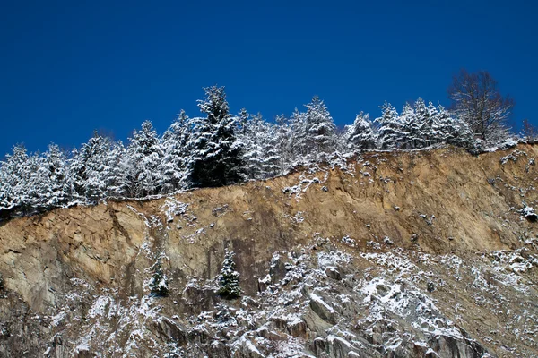 Příroda a v zimě — Stock fotografie