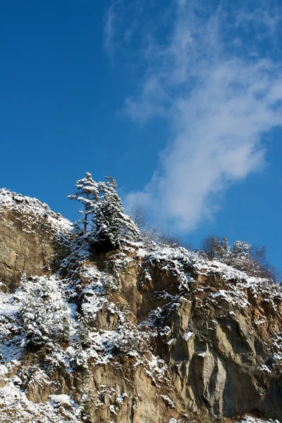 Природа і взимку — стокове фото