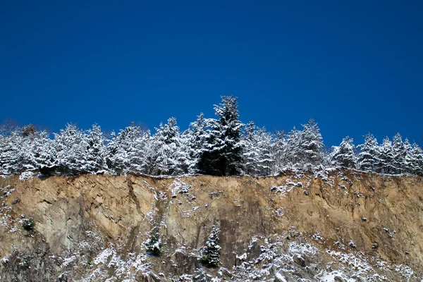 Природа і взимку — стокове фото