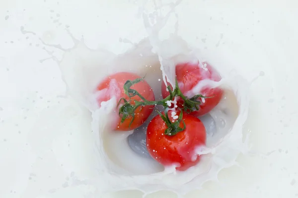 토마토와 splashing 우유 — 스톡 사진