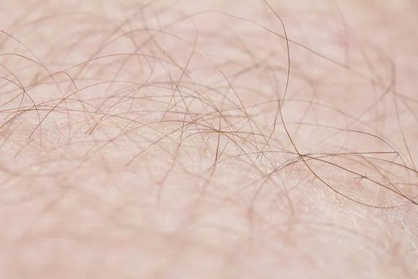 stock image Human skin