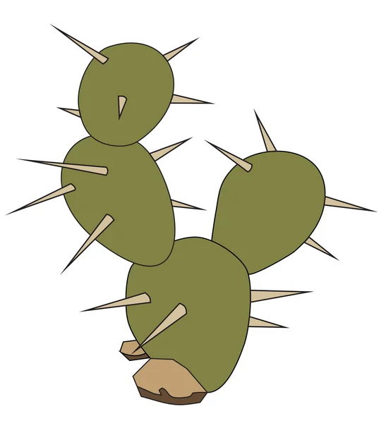 Cactus — Vector de stock