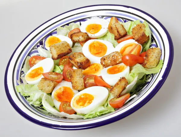 Egg and tomato salad bowl — Stock Photo, Image