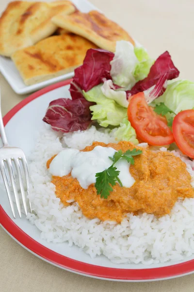 stock image Chicken tikka masala meal vertical