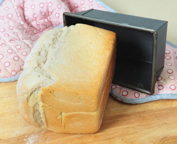Fırında taze ekmek — Stok fotoğraf