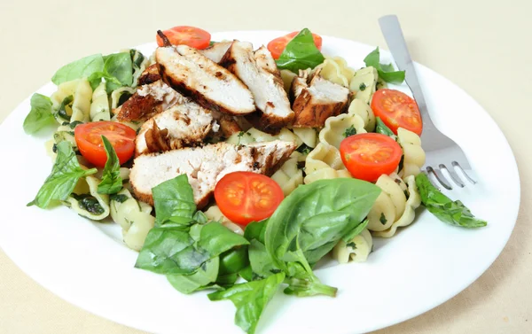 Grilled chicken and pasta salad side view — Stock Photo, Image