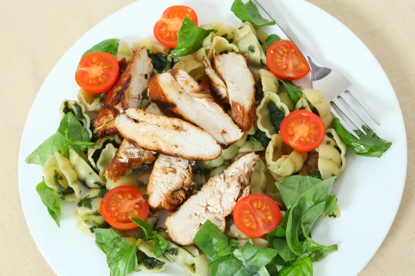 stock image Grilled chicken and pasta salad high angle