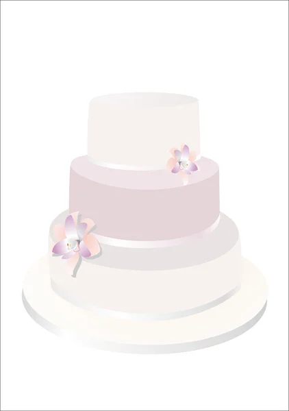 Bröllopstårta isolerad på vit bakgrund. — Stock vektor