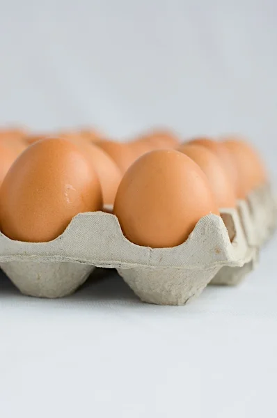Ouă pe alb — Fotografie, imagine de stoc