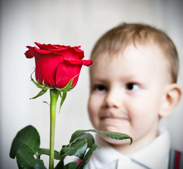 Маленький мальчик и большая красная роза — стоковое фото