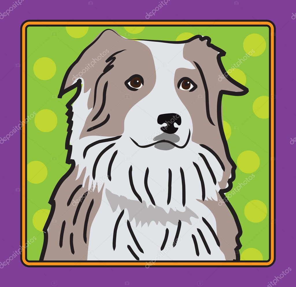 australian shepherd clipart