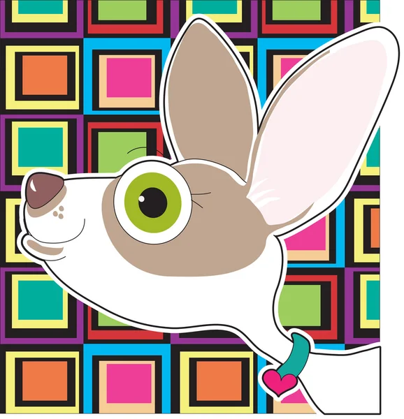 Chihuahua-Porträt — Stockvektor