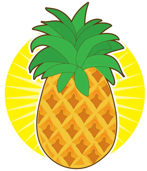 Pineapple Sun — Stock Vector