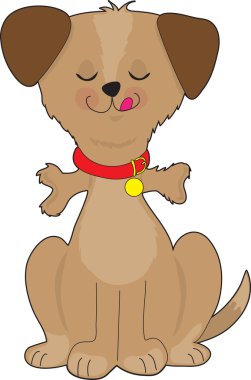 Köpek kemiği