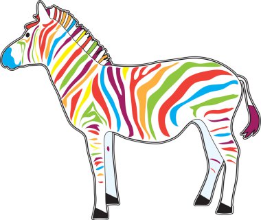 Multicolored Zebra