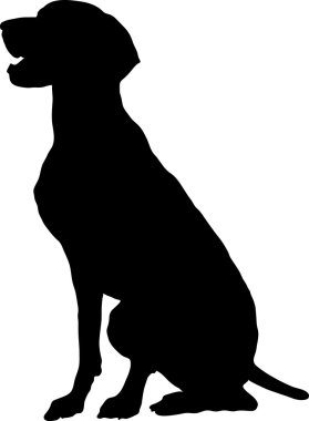 German Pointer clipart