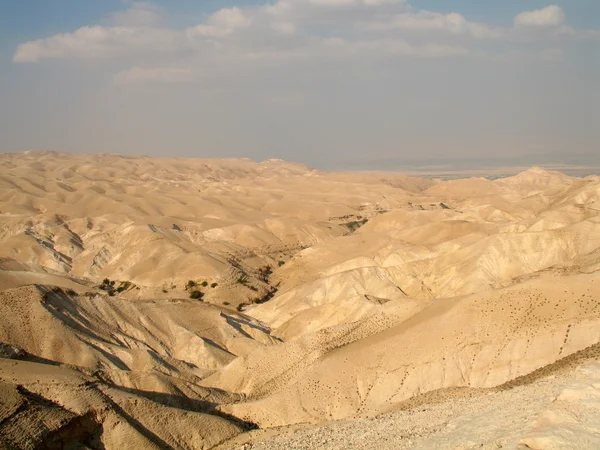 Δες στο έρημο Ιουδαϊκή — Φωτογραφία Αρχείου