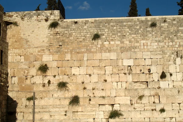 Ağlama duvarı, Kudüs, İsrail — Stok fotoğraf