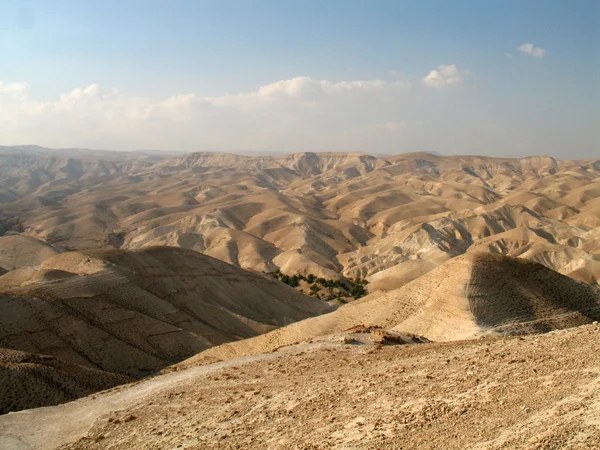 Δες στο έρημο Ιουδαϊκή — Φωτογραφία Αρχείου