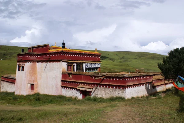 Buddist Manastırı litang, tibet, Çin — Stok fotoğraf