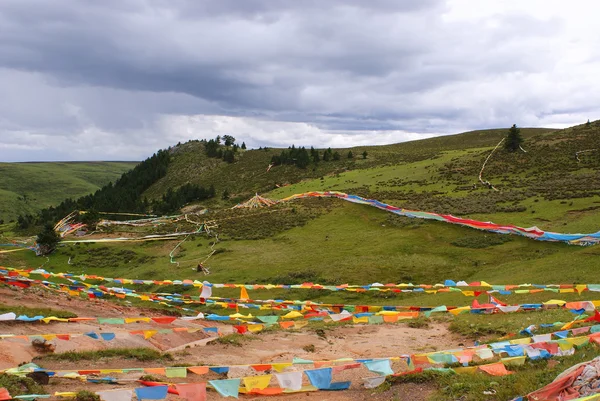 Σημαίες προσευχή στο litang, sichuan, Θιβέτ, Κίνα — Φωτογραφία Αρχείου