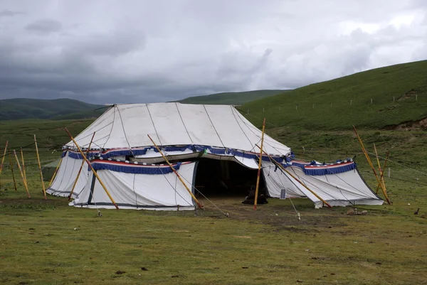 stock image Buddist tent in Litang, Tibet, China