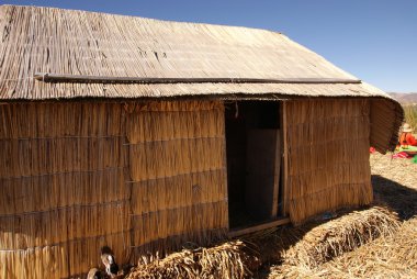 Uros - titcaca gölün Peru yüzen ada