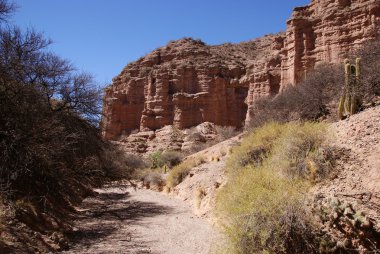 Desert, andean landscape with canyon, Tupiza, Bolivia clipart