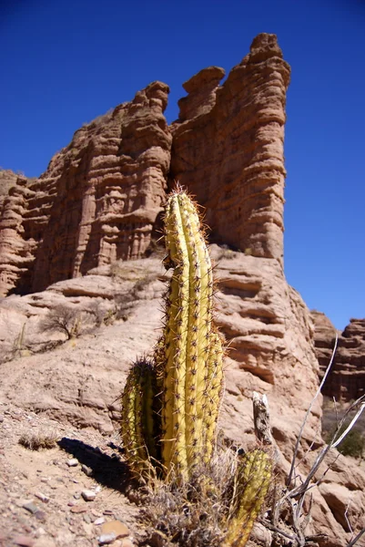 Desierto, paisaje andino con cañón, Tupiza, Bolivia — Foto de Stock