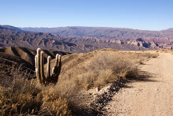 Wüste, Andenlandschaft mit Canyon, Tupiza, Bolivien — Stockfoto