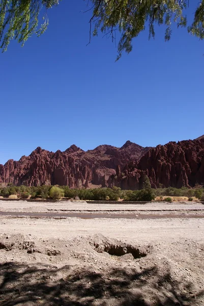 Desert, andean landscape with canyon, Tupiza, Bolivia — Stock Photo, Image