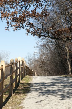 Nature Trail in Ohio clipart