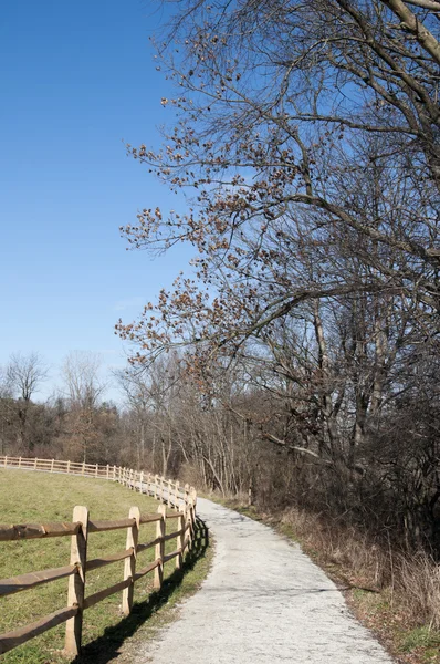 Trail through Vineyard in Ohio — Stock Photo, Image