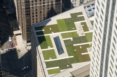 Green Roof clipart