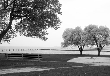 Chicago'da park