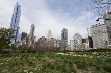 Chicago Park View