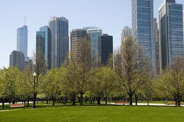 Park in Chicago — Stock Photo, Image