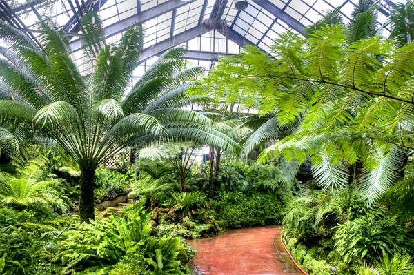 Botanical Gardens — Stock Photo, Image