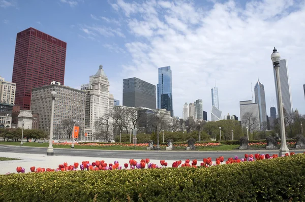 Άποψη του Σικάγου από πάρκο — Φωτογραφία Αρχείου