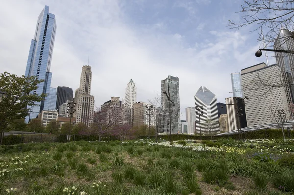 Άποψη του Σικάγου από πάρκο — Φωτογραφία Αρχείου