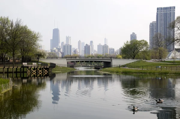 Lincoln Park Zoo — Stockfoto