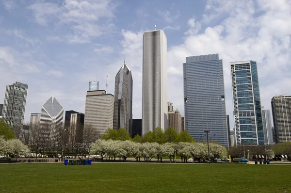 Park i chicago — Stockfoto