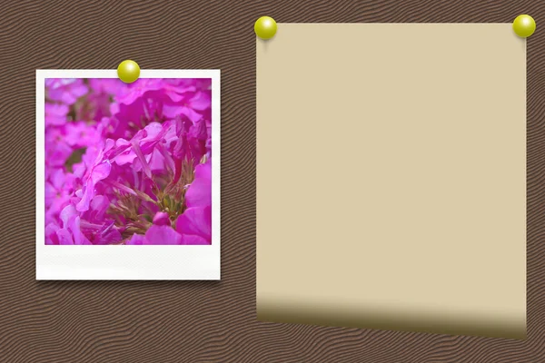 Uma velha foto de flores e papel — Fotografia de Stock