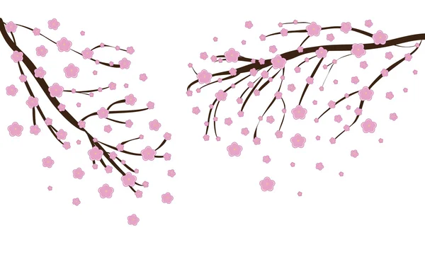 Цветение сакуры — стоковый вектор