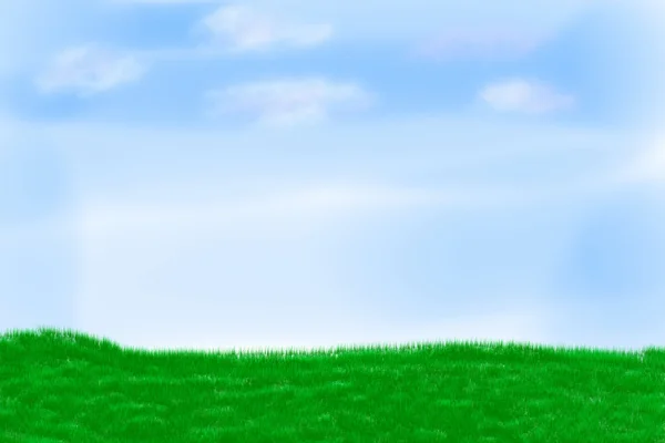 Fält av gräs — Stockfoto