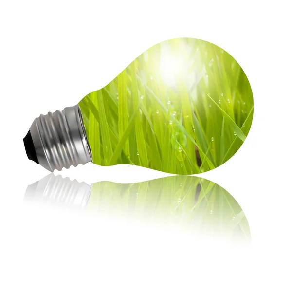 Lampa ekologiczna — Zdjęcie stockowe