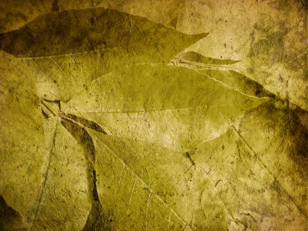 Grunge feuilles — Photo