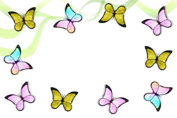 Бабочки и линии — стоковое фото